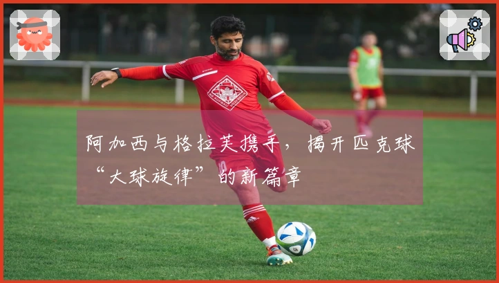 阿加西与格拉芙携手，揭开匹克球“大球旋律”的新篇章