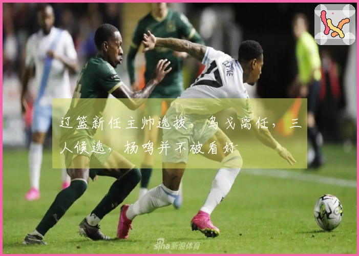 辽篮新任主帅选拔，乌戈离任，三人候选，杨鸣并不被看好