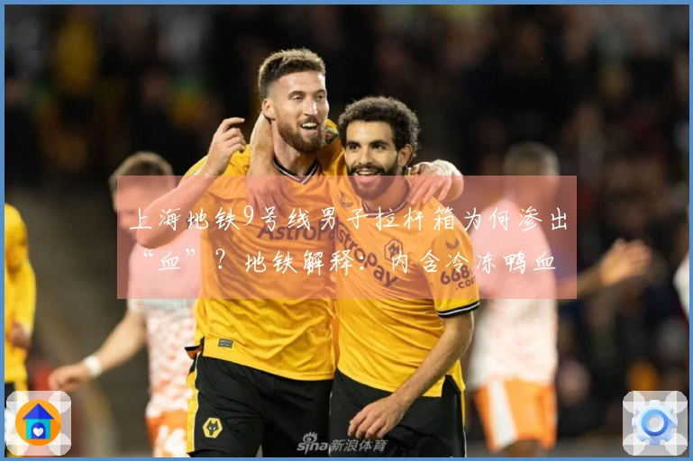 上海地铁9号线男子拉杆箱为何渗出“血”？地铁解释：内含冷冻鸭血，长时间融化所致