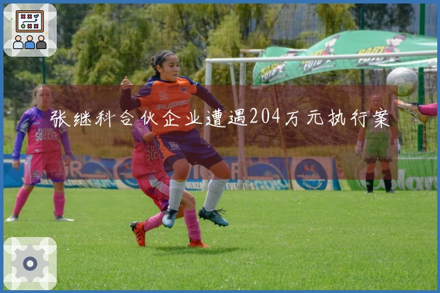 张继科合伙企业遭遇204万元执行案